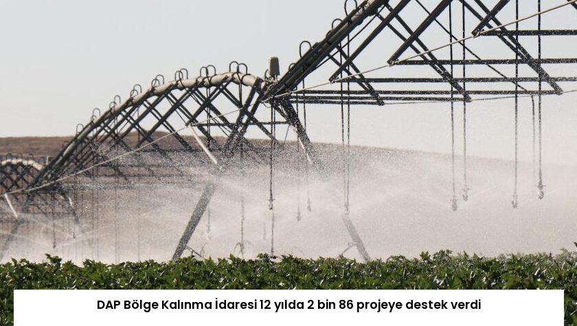 DAP Bölge Kalınma İdaresi 12 yılda 2 bin 86 projeye destek verdi