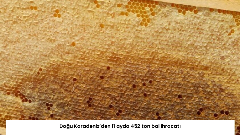 Doğu Karadeniz’den 11 ayda 452 ton bal ihracatı