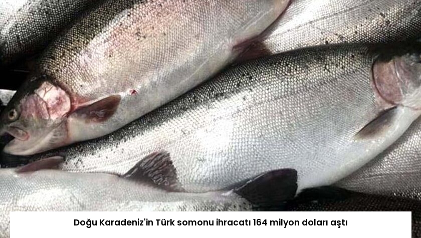 Doğu Karadeniz’in Türk somonu ihracatı 164 milyon doları aştı