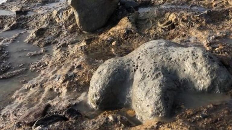 Dünya genelinde 2025’teki arkeolojik bulgular, insanlık tarihine ve mirasına ışık tuttu