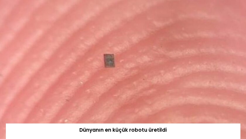 Dünyanın en küçük robotu üretildi