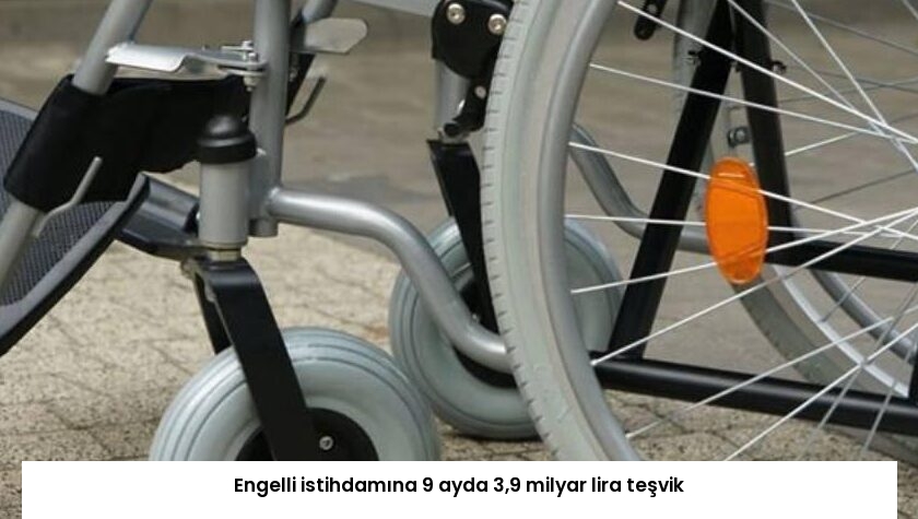 Engelli istihdamına 9 ayda 3,9 milyar lira teşvik
