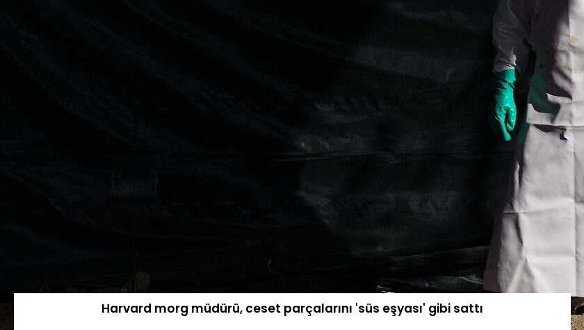 Harvard morg müdürü, ceset parçalarını ‘süs eşyası’ gibi sattı