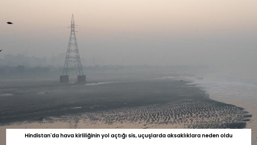 Hindistan’da hava kirliliğinin yol açtığı sis, uçuşlarda aksaklıklara neden oldu