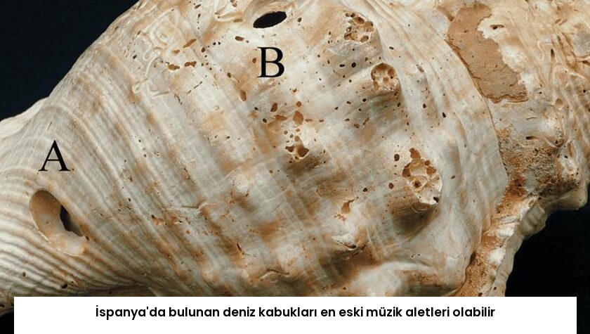 İspanya’da bulunan deniz kabukları en eski müzik aletleri olabilir