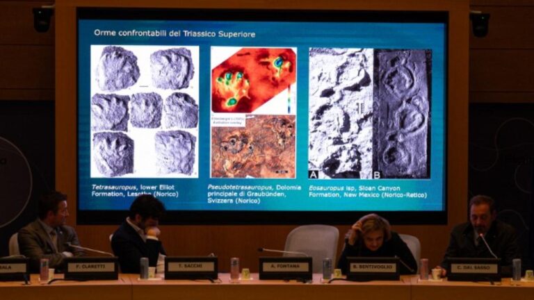 İtalya’da 200 milyon yıl öncesinden kaldığı düşünülen binlerce dinozor ayak izi keşfedildi