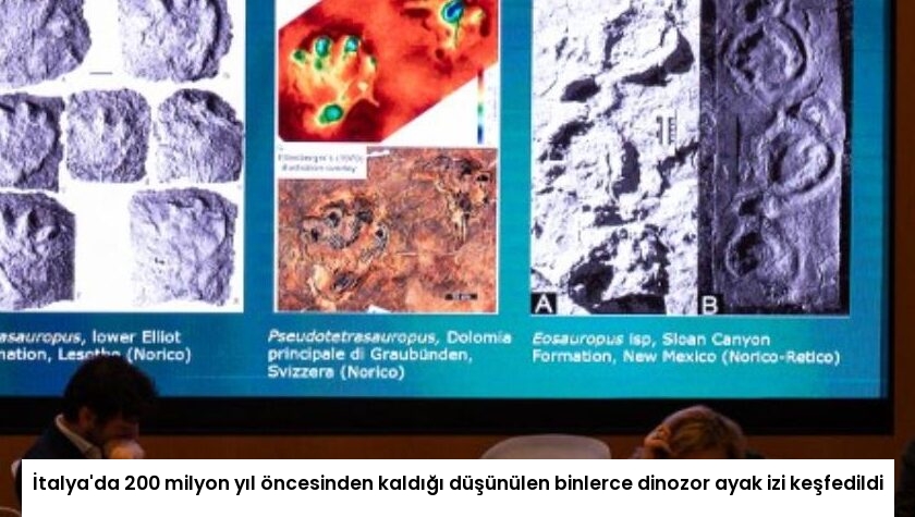 İtalya’da 200 milyon yıl öncesinden kaldığı düşünülen binlerce dinozor ayak izi keşfedildi