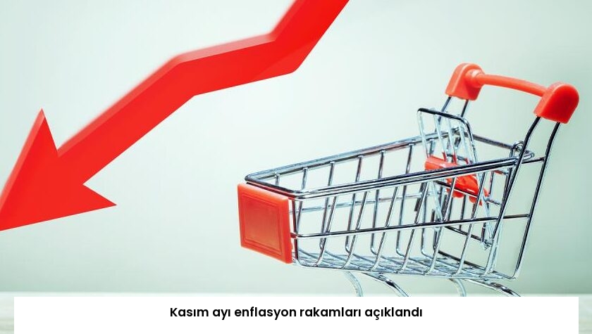 Kasım ayı enflasyon rakamları açıklandı