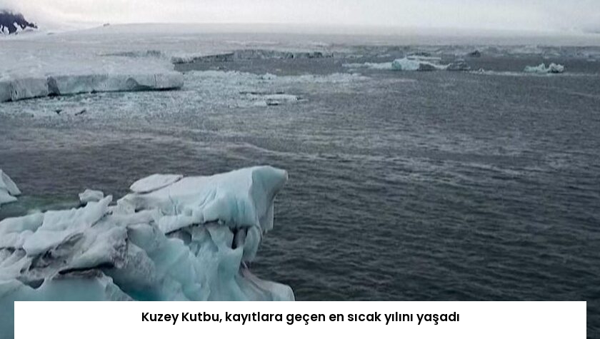 Kuzey Kutbu, kayıtlara geçen en sıcak yılını yaşadı