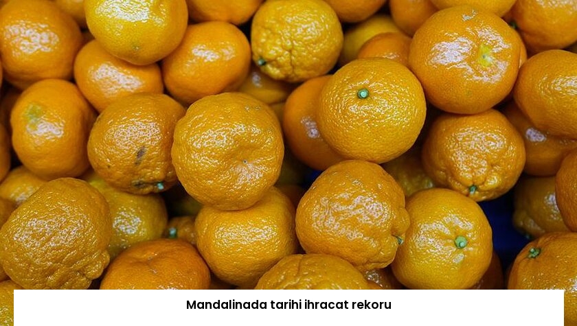Mandalinada tarihi ihracat rekoru