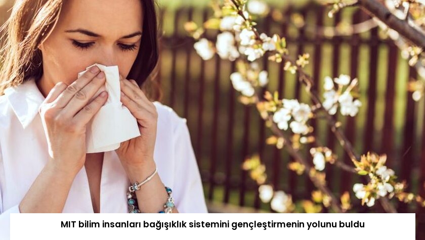 MIT bilim insanları bağışıklık sistemini gençleştirmenin yolunu buldu