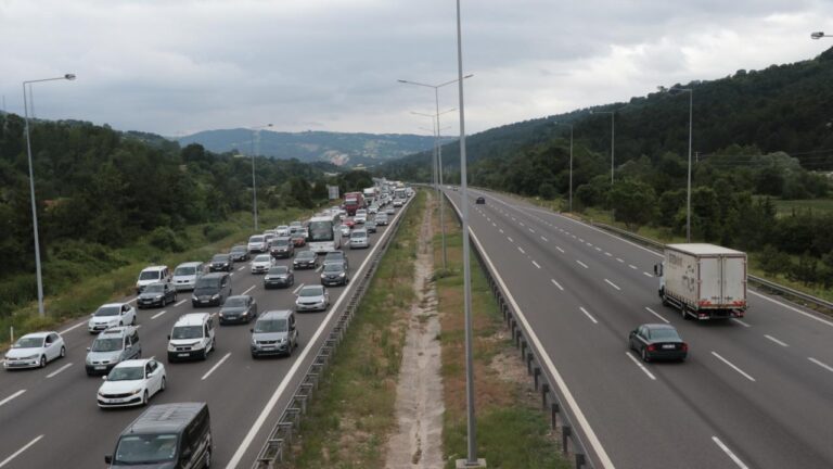 Motorlu taşıtlar 2024’te 383 milyar kilometre yol yaptı