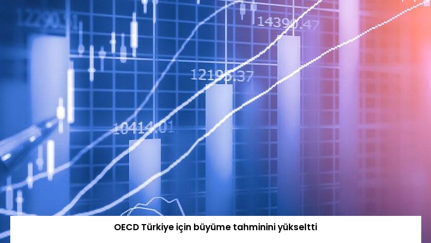 OECD Türkiye için büyüme tahminini yükseltti