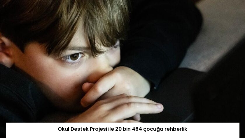 Okul Destek Projesi ile 20 bin 464 çocuğa rehberlik
