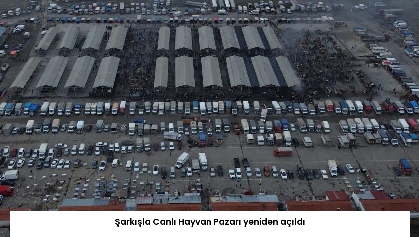 Şarkışla Canlı Hayvan Pazarı yeniden açıldı
