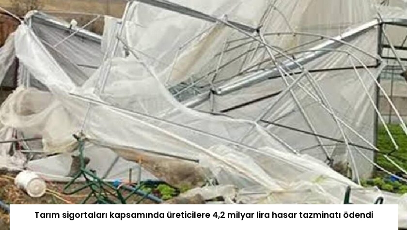 Tarım sigortaları kapsamında üreticilere 4,2 milyar lira hasar tazminatı ödendi