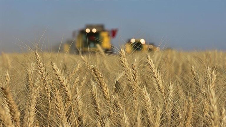 Tarımsal girdi fiyat endeksi ekimde arttı