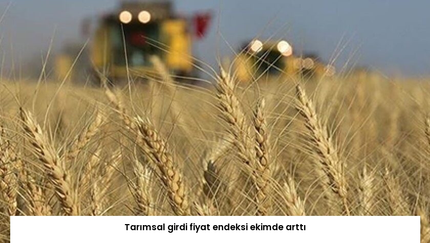 Tarımsal girdi fiyat endeksi ekimde arttı