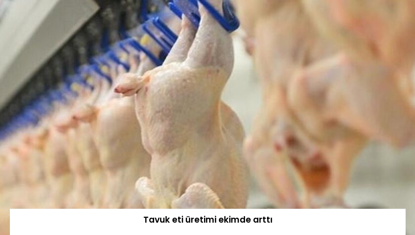 Tavuk eti üretimi ekimde arttı