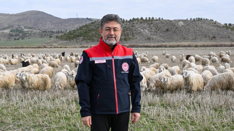 Tiftik, yeni destek mekanizmalarıyla ekonomiye kazandırılacak