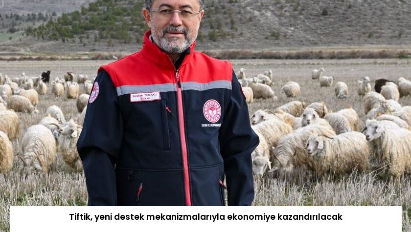 Tiftik, yeni destek mekanizmalarıyla ekonomiye kazandırılacak