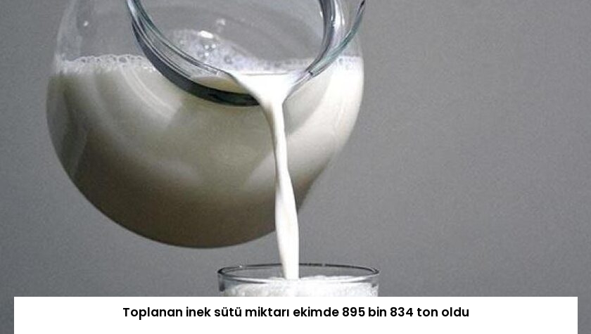 Toplanan inek sütü miktarı ekimde 895 bin 834 ton oldu