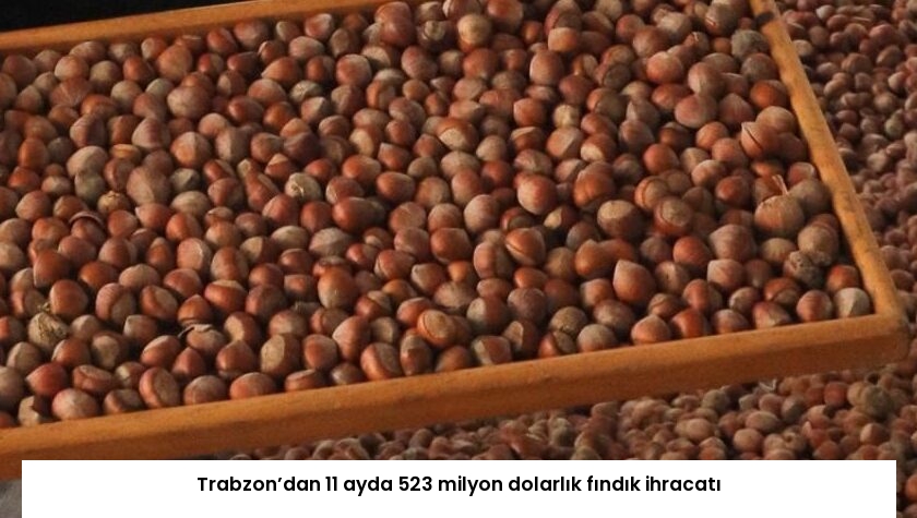 Trabzon’dan 11 ayda 523 milyon dolarlık fındık ihracatı