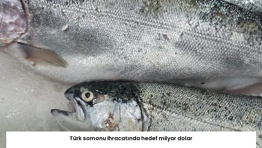 Türk somonu ihracatında hedef milyar dolar