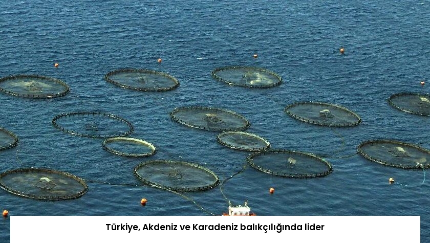 Türkiye, Akdeniz ve Karadeniz balıkçılığında lider