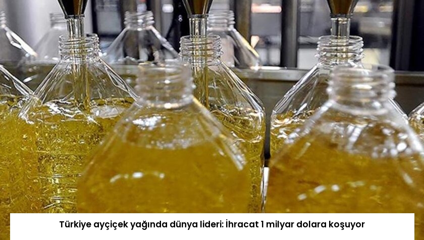 Türkiye ayçiçek yağında dünya lideri: İhracat 1 milyar dolara koşuyor