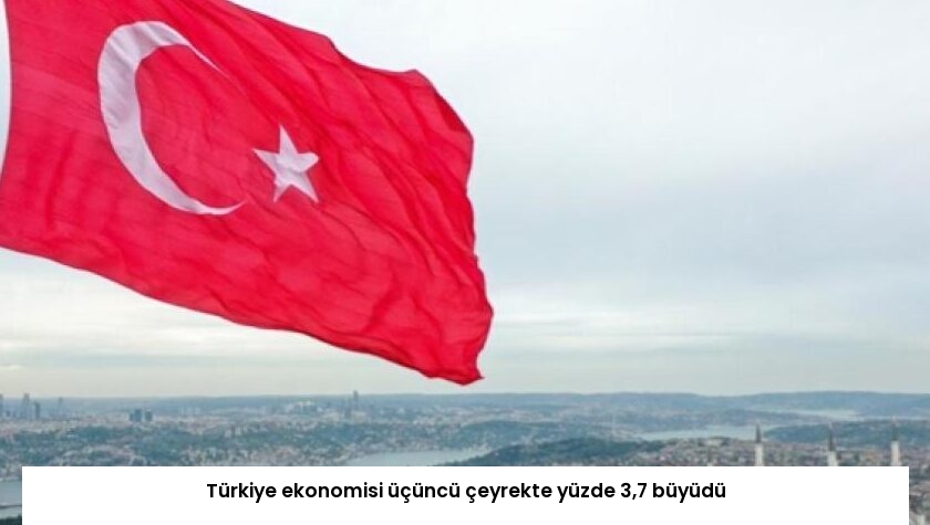 Türkiye ekonomisi üçüncü çeyrekte yüzde 3,7 büyüdü