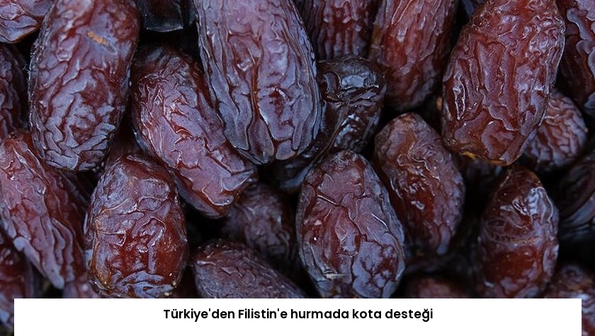 Türkiye’den Filistin’e hurmada kota desteği