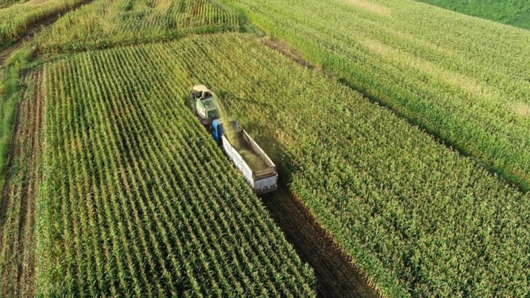 Üreticilere 1,1 milyar liralık tarımsal destekleme ödemesi