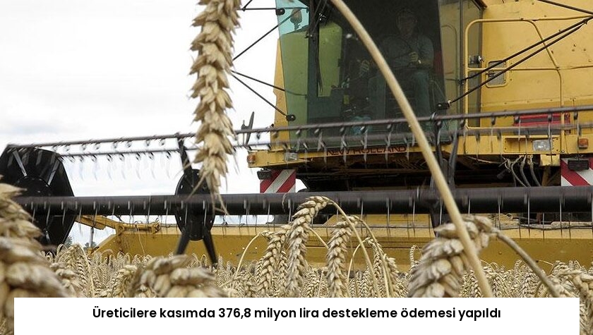 Üreticilere kasımda 376,8 milyon lira destekleme ödemesi yapıldı