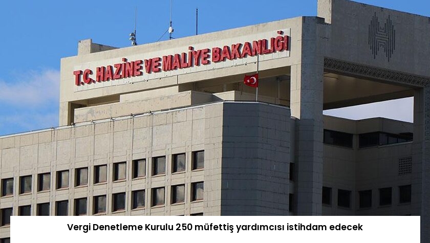 Vergi Denetleme Kurulu 250 müfettiş yardımcısı istihdam edecek