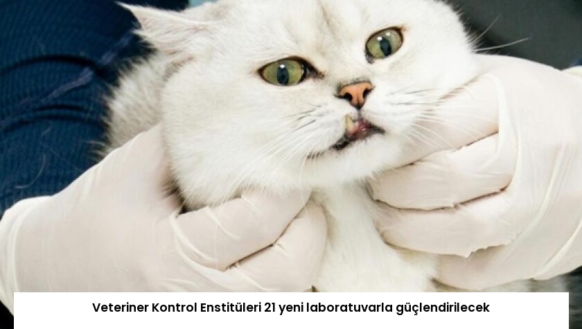 Veteriner Kontrol Enstitüleri 21 yeni laboratuvarla güçlendirilecek