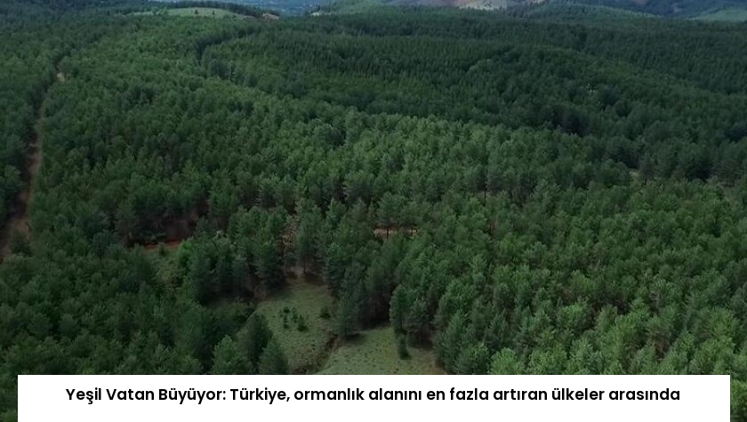 Yeşil Vatan Büyüyor: Türkiye, ormanlık alanını en fazla artıran ülkeler arasında