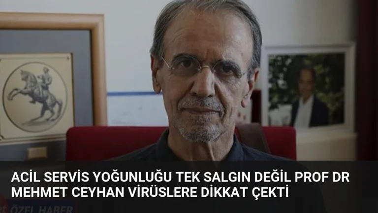 Acil Servis Yoğunluğu Tek Salgın Değil Prof Dr Mehmet Ceyhan Virüslere Dikkat Çekti