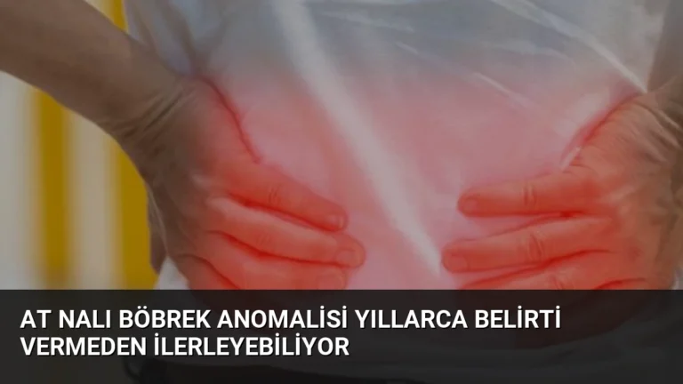 At Nalı Böbrek Anomalisi Yıllarca Belirti Vermeden İlerleyebiliyor