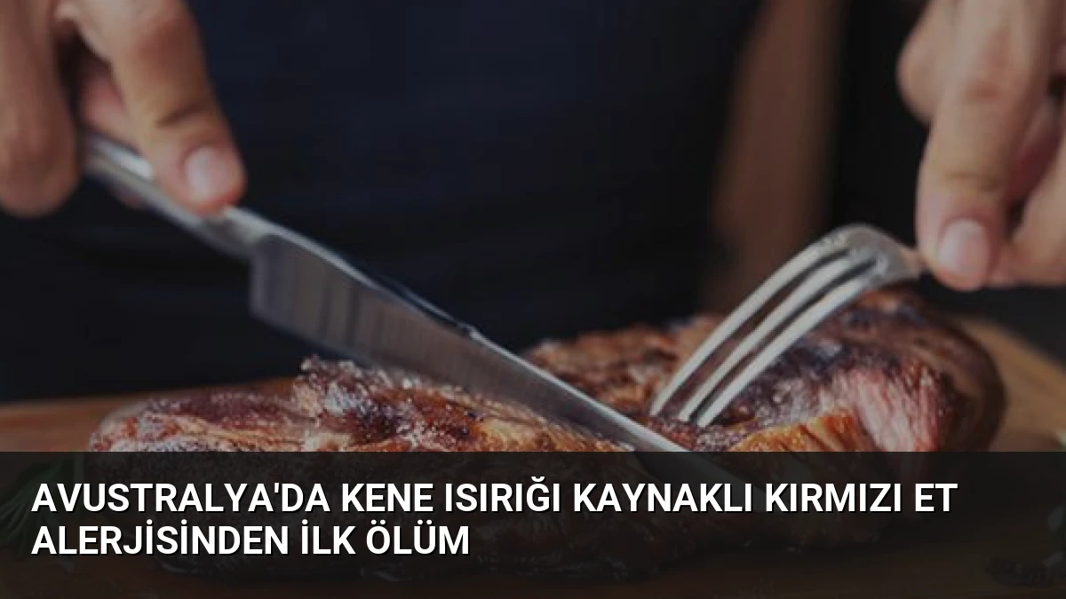 Avustralya’da Kene Isırığı Kaynaklı Kırmızı Et Alerjisinden İlk Ölüm