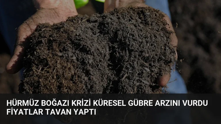 Hürmüz Boğazı Krizi Küresel Gübre Arzını Vurdu Fiyatlar Tavan Yaptı
