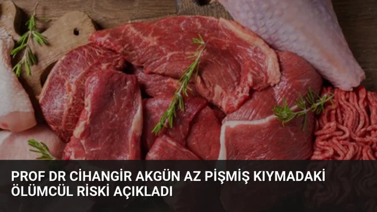 Prof Dr Cihangir Akgün Az Pişmiş Kıymadaki Ölümcül Riski Açıkladı