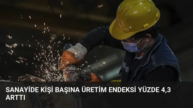 Sanayide Kişi Başına Üretim Endeksi Yüzde 4,3 Arttı