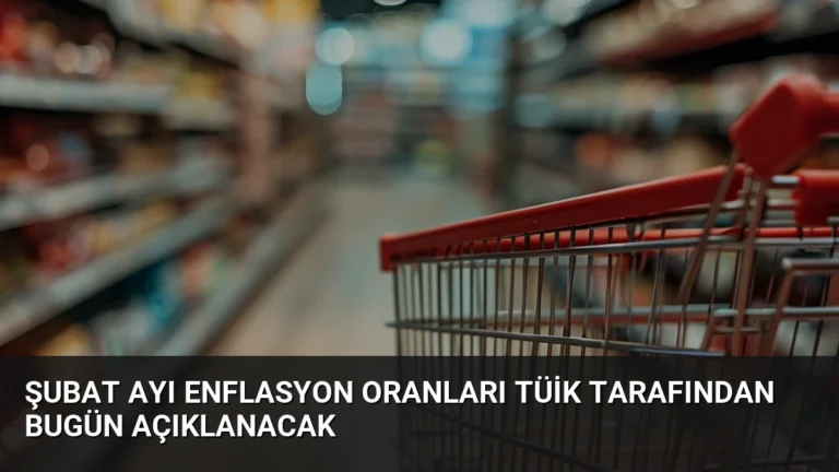 Şubat Ayı Enflasyon Oranları TÜİK Tarafından Bugün Açıklanacak
