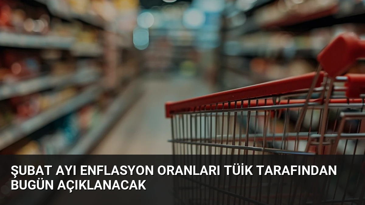 Şubat Ayı Enflasyon Oranları TÜİK Tarafından Bugün Açıklanacak