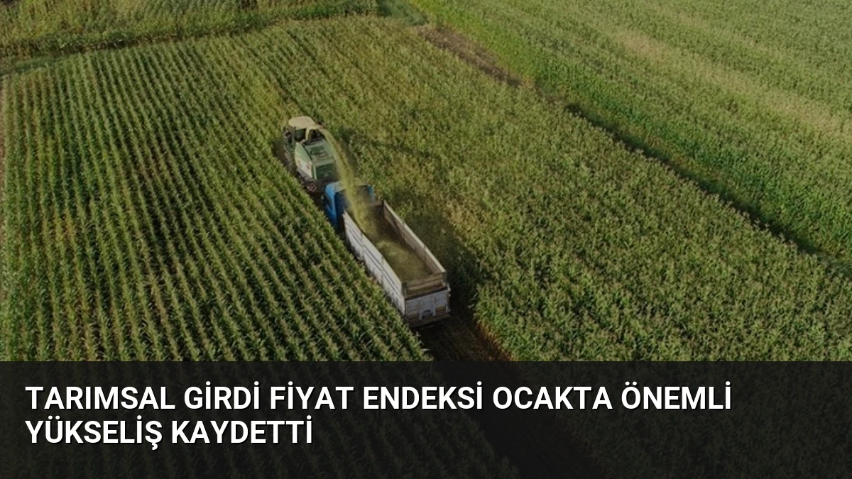 Tarımsal Girdi Fiyat Endeksi Ocakta Önemli Yükseliş Kaydetti