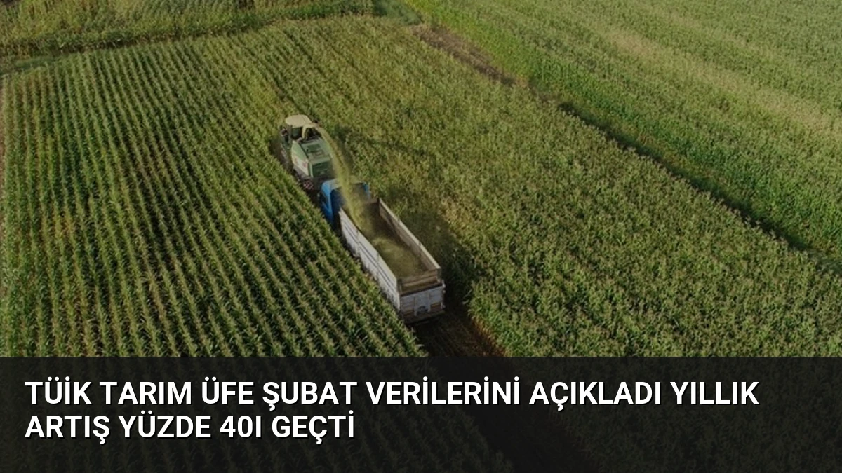 TÜİK Tarım ÜFE Şubat Verilerini Açıkladı Yıllık Artış Yüzde 40ı Geçti