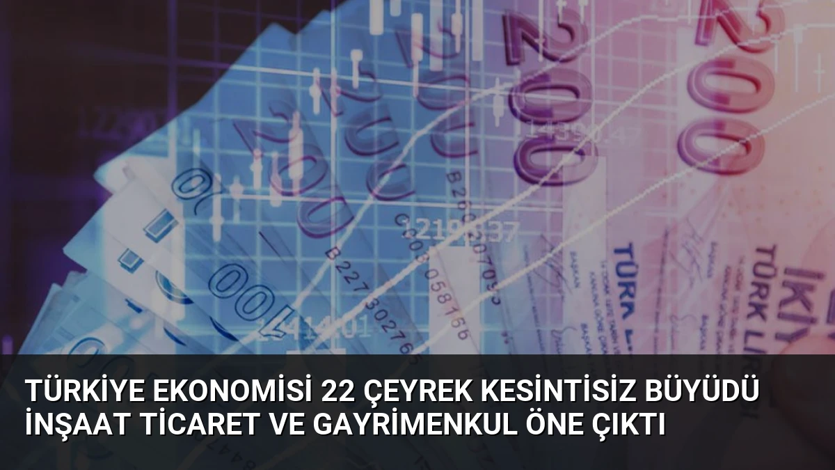 Türkiye Ekonomisi 22 Çeyrek Kesintisiz Büyüdü İnşaat Ticaret ve Gayrimenkul Öne Çıktı