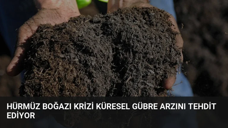 Hürmüz Boğazı Krizi Küresel Gübre Arzını Tehdit Ediyor