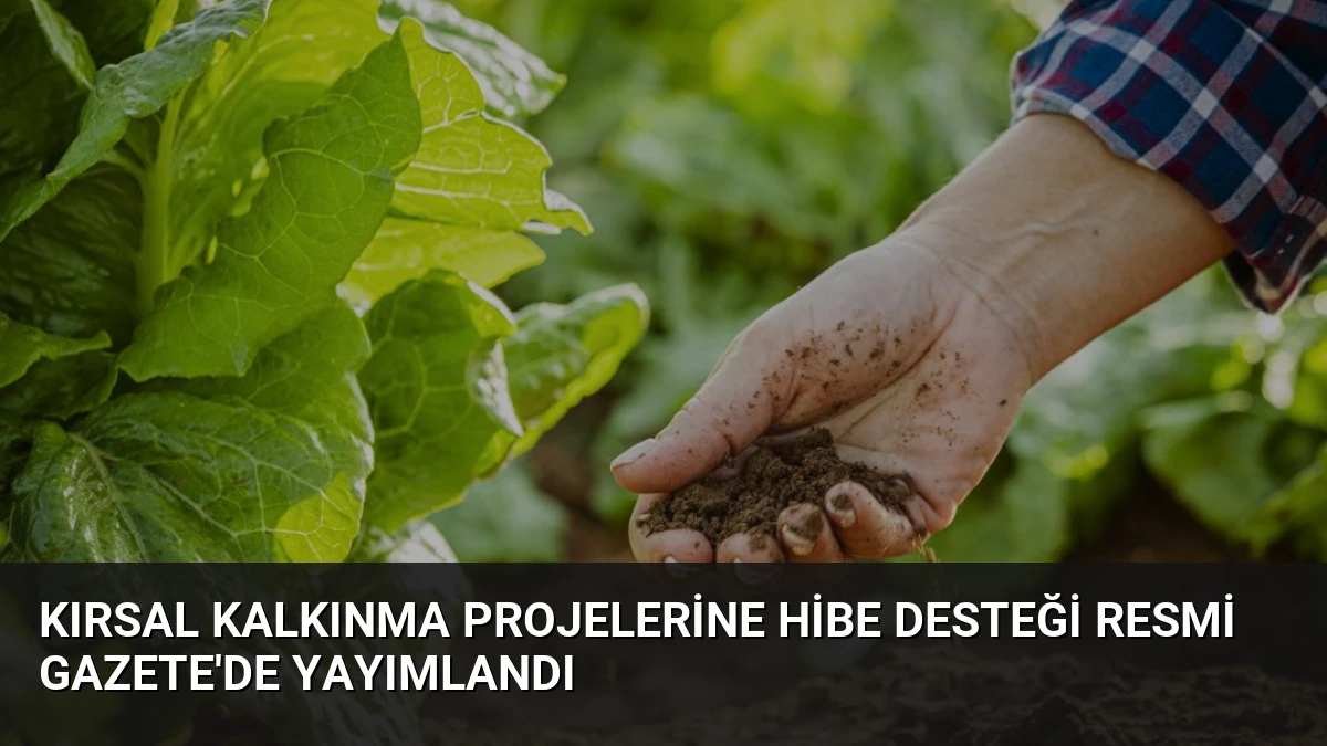 Kırsal Kalkınma Projelerine Hibe Desteği Resmi Gazete’de Yayımlandı